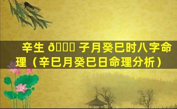 辛生 🐒 子月癸巳时八字命理（辛巳月癸巳日命理分析）